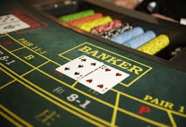 Platform meong toto menyediakan layanan hiburan online dengan berbagai permainan slot dan live casino